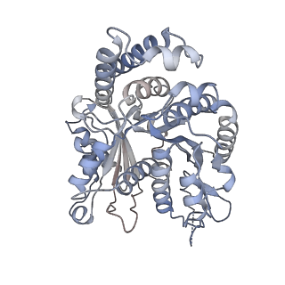29692_8g3d_OC_v1-0
48-nm doublet microtubule from Tetrahymena thermophila strain K40R