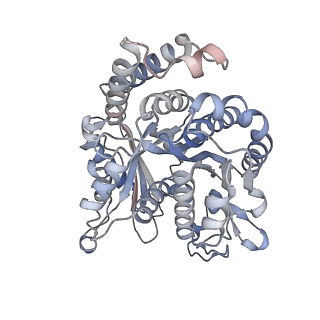 29692_8g3d_OD_v1-0
48-nm doublet microtubule from Tetrahymena thermophila strain K40R