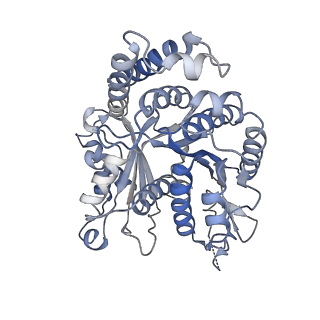 29692_8g3d_OI_v1-0
48-nm doublet microtubule from Tetrahymena thermophila strain K40R