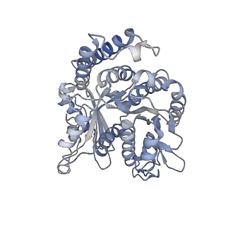 29692_8g3d_OJ_v1-0
48-nm doublet microtubule from Tetrahymena thermophila strain K40R