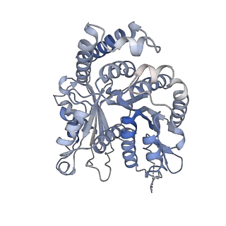 29692_8g3d_OK_v1-0
48-nm doublet microtubule from Tetrahymena thermophila strain K40R