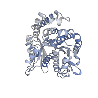 29692_8g3d_OL_v1-0
48-nm doublet microtubule from Tetrahymena thermophila strain K40R