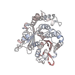 29692_8g3d_PB_v1-0
48-nm doublet microtubule from Tetrahymena thermophila strain K40R