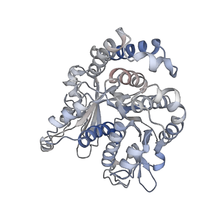 29692_8g3d_PH_v1-0
48-nm doublet microtubule from Tetrahymena thermophila strain K40R
