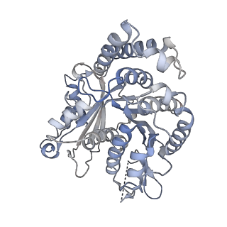 29692_8g3d_PI_v1-0
48-nm doublet microtubule from Tetrahymena thermophila strain K40R
