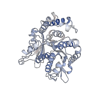 29692_8g3d_PJ_v1-0
48-nm doublet microtubule from Tetrahymena thermophila strain K40R