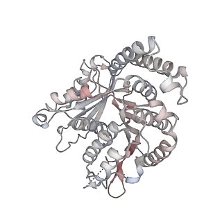 29692_8g3d_QA_v1-0
48-nm doublet microtubule from Tetrahymena thermophila strain K40R