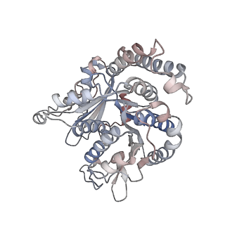 29692_8g3d_QB_v1-0
48-nm doublet microtubule from Tetrahymena thermophila strain K40R