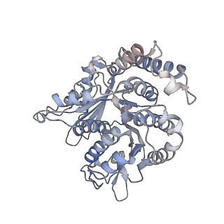 29692_8g3d_QD_v1-0
48-nm doublet microtubule from Tetrahymena thermophila strain K40R