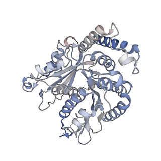 29692_8g3d_QG_v1-0
48-nm doublet microtubule from Tetrahymena thermophila strain K40R