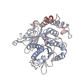 29692_8g3d_QL_v1-0
48-nm doublet microtubule from Tetrahymena thermophila strain K40R