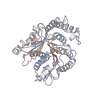 29692_8g3d_QM_v1-0
48-nm doublet microtubule from Tetrahymena thermophila strain K40R