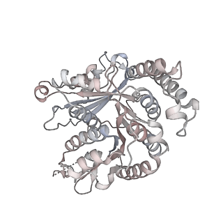 29692_8g3d_RA_v1-0
48-nm doublet microtubule from Tetrahymena thermophila strain K40R