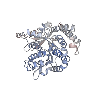 29692_8g3d_RF_v1-0
48-nm doublet microtubule from Tetrahymena thermophila strain K40R