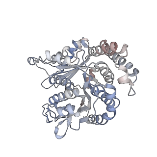 29692_8g3d_RH_v1-0
48-nm doublet microtubule from Tetrahymena thermophila strain K40R