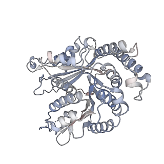 29692_8g3d_RI_v1-0
48-nm doublet microtubule from Tetrahymena thermophila strain K40R