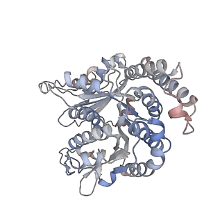 29692_8g3d_RJ_v1-0
48-nm doublet microtubule from Tetrahymena thermophila strain K40R