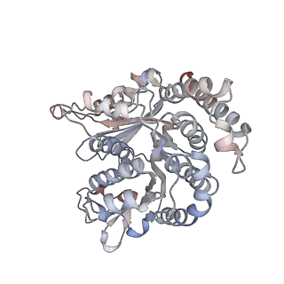 29692_8g3d_RL_v1-0
48-nm doublet microtubule from Tetrahymena thermophila strain K40R