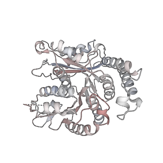 29692_8g3d_SA_v1-0
48-nm doublet microtubule from Tetrahymena thermophila strain K40R