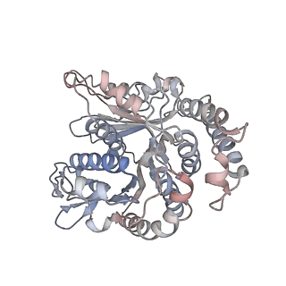 29692_8g3d_SB_v1-0
48-nm doublet microtubule from Tetrahymena thermophila strain K40R