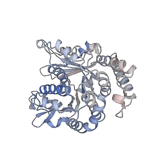 29692_8g3d_SH_v1-0
48-nm doublet microtubule from Tetrahymena thermophila strain K40R