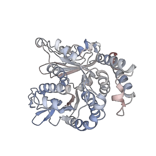 29692_8g3d_SJ_v1-0
48-nm doublet microtubule from Tetrahymena thermophila strain K40R