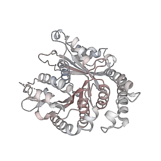 29692_8g3d_TA_v1-0
48-nm doublet microtubule from Tetrahymena thermophila strain K40R