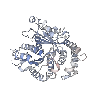 29692_8g3d_TC_v1-0
48-nm doublet microtubule from Tetrahymena thermophila strain K40R