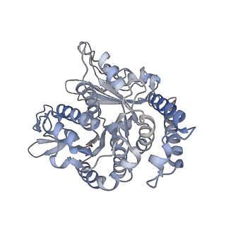 29692_8g3d_TF_v1-0
48-nm doublet microtubule from Tetrahymena thermophila strain K40R