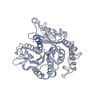 29692_8g3d_TJ_v1-0
48-nm doublet microtubule from Tetrahymena thermophila strain K40R