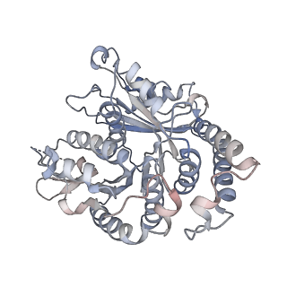 29692_8g3d_TK_v1-0
48-nm doublet microtubule from Tetrahymena thermophila strain K40R