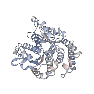 29692_8g3d_TL_v1-0
48-nm doublet microtubule from Tetrahymena thermophila strain K40R