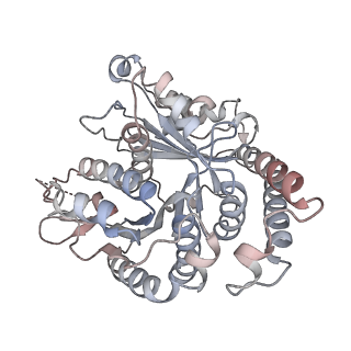 29692_8g3d_TM_v1-0
48-nm doublet microtubule from Tetrahymena thermophila strain K40R