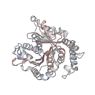 29692_8g3d_TN_v1-0
48-nm doublet microtubule from Tetrahymena thermophila strain K40R