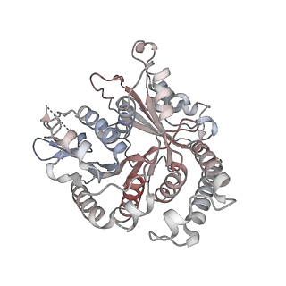 29692_8g3d_UA_v1-0
48-nm doublet microtubule from Tetrahymena thermophila strain K40R
