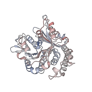 29692_8g3d_UB_v1-0
48-nm doublet microtubule from Tetrahymena thermophila strain K40R
