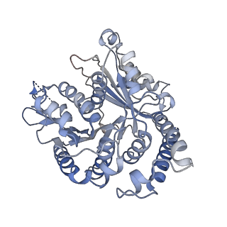 29692_8g3d_UG_v1-0
48-nm doublet microtubule from Tetrahymena thermophila strain K40R