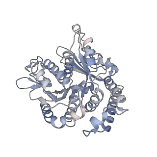 29692_8g3d_UJ_v1-0
48-nm doublet microtubule from Tetrahymena thermophila strain K40R