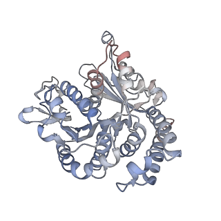 29692_8g3d_UL_v1-0
48-nm doublet microtubule from Tetrahymena thermophila strain K40R