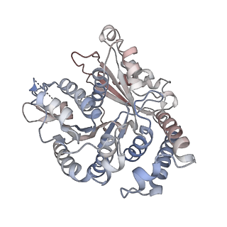 29692_8g3d_UM_v1-0
48-nm doublet microtubule from Tetrahymena thermophila strain K40R