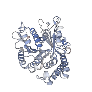 29692_8g3d_VA_v1-0
48-nm doublet microtubule from Tetrahymena thermophila strain K40R