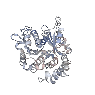 29692_8g3d_VB_v1-0
48-nm doublet microtubule from Tetrahymena thermophila strain K40R