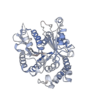 29692_8g3d_VI_v1-0
48-nm doublet microtubule from Tetrahymena thermophila strain K40R