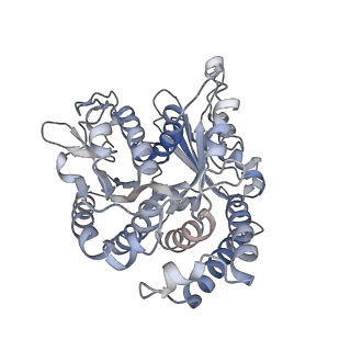 29692_8g3d_VJ_v1-0
48-nm doublet microtubule from Tetrahymena thermophila strain K40R