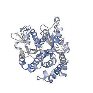 29692_8g3d_VL_v1-0
48-nm doublet microtubule from Tetrahymena thermophila strain K40R
