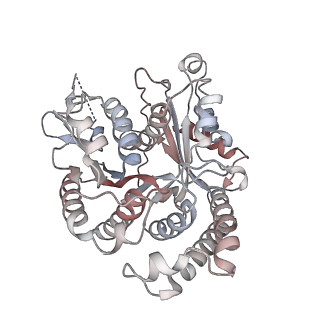 29692_8g3d_VM_v1-0
48-nm doublet microtubule from Tetrahymena thermophila strain K40R