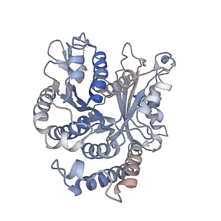 29692_8g3d_WA_v1-0
48-nm doublet microtubule from Tetrahymena thermophila strain K40R