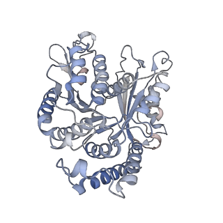 29692_8g3d_WG_v1-0
48-nm doublet microtubule from Tetrahymena thermophila strain K40R