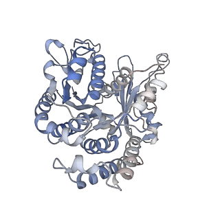 29692_8g3d_WJ_v1-0
48-nm doublet microtubule from Tetrahymena thermophila strain K40R