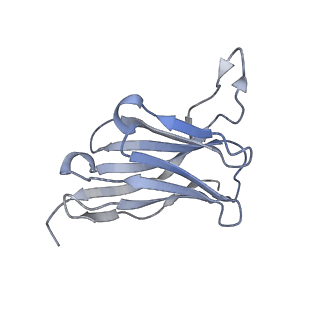 29704_8g3m_A_v1-2
N2 neuraminidase of A/Tanzania/205/2010 H3N2 in complex with 3 FNI9 Fab molecules